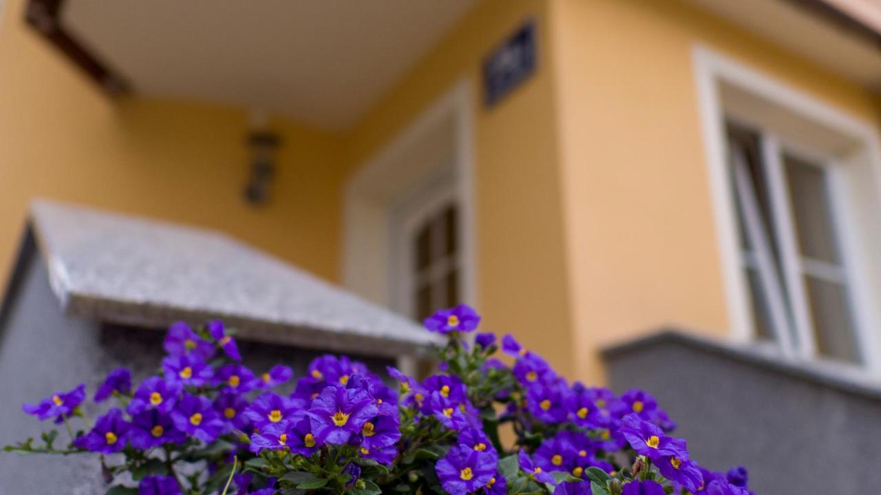 Ferienwohnung Claudia Solnohrad Exteriér fotografie